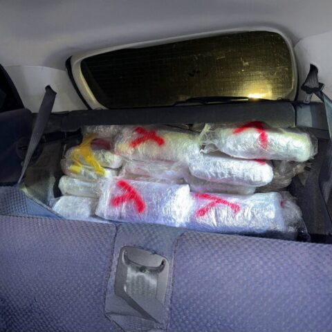 Marihuana zaplena fijat stilo gepek Foto MUP Srbije