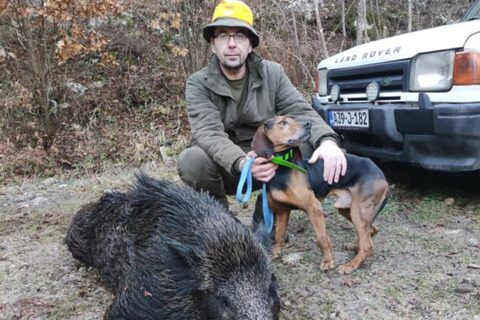 Lovački pas Lesi Foto Facebook Nikola Materić