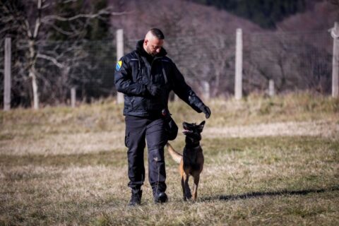 Vodič Dejan Škrba sa svojim psom izvodi vježbe poslušnosti Granična policija BIH Foto www.granpol.gov.ba