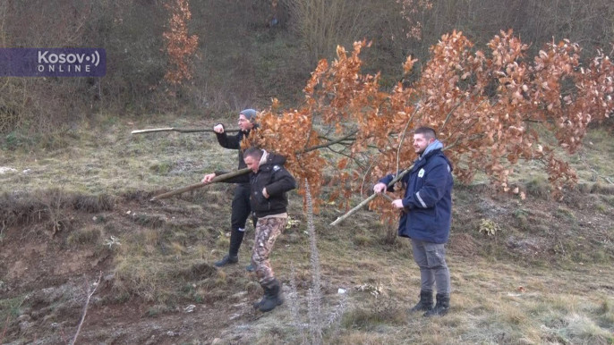 Badnjak foto kosovo online