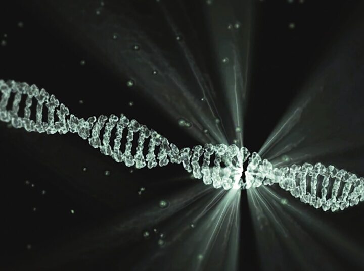 DNK Image by LaCasadeGoethe from Pixabay