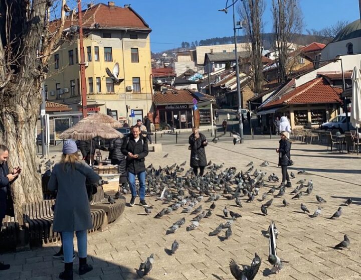 sarajevo iluistracija foto balkanfacts